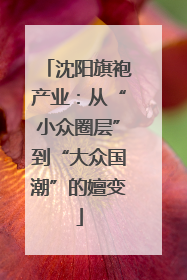 沈阳旗袍产业：从“小众圈层”到“大众国潮”的嬗变